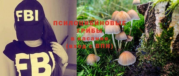 мяу мяу кристалл Верхний Тагил